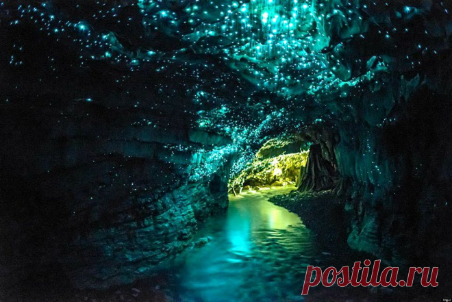 40 необычных фотографий, которые стоит увидеть