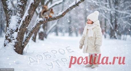 ⛄ Морозное утро — повод улыбнуться! Доброе утро! 😊
#морозноеутро #доброеутро #улыбнисьутром #зимнеутро #морозисолнце #утропозитива #зимаприглашает #солнцевморозе #зима2026