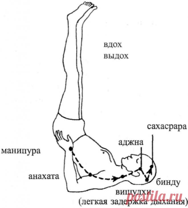 Сознательность - Книга излагает учение, передававшееся ранее от учителя непосредственно к ученику. Изменившиеся...
