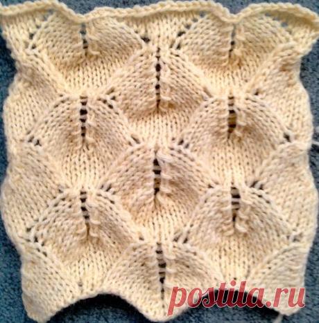 Образец эксперимента | alessandrina.com