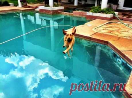 Фотографии, созданные без использования фотошопа
Фотографии, которые вы увидите ниже – абсолютно разные, однако их объединяет одно: ни одна из них не был сделана с использованием фотошопа. Иногда, чтобы сделать великолепный снимок, графические программы, оказывается, вовсе не нужны!