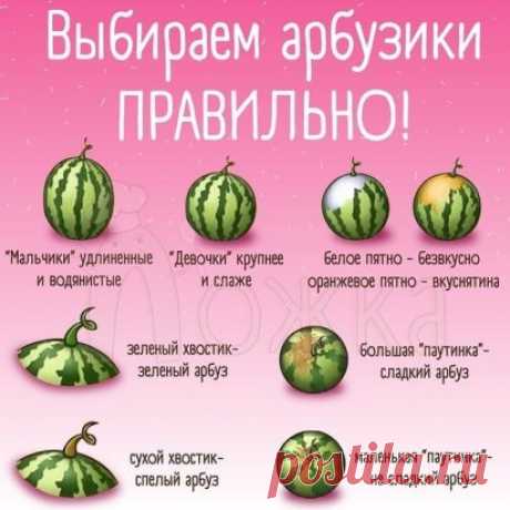 Пoлeзнo знaть 🏻
