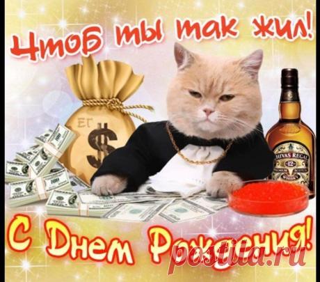 Прикольные картинки С Днём Рождения мужчине. Поздравления с ДР