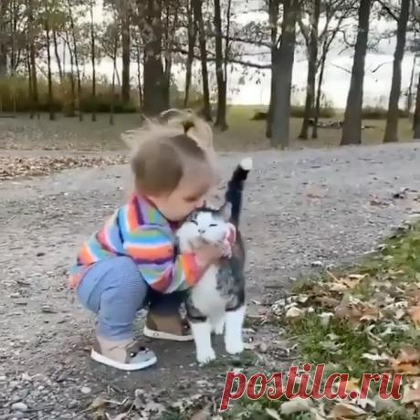 @catloverspage2