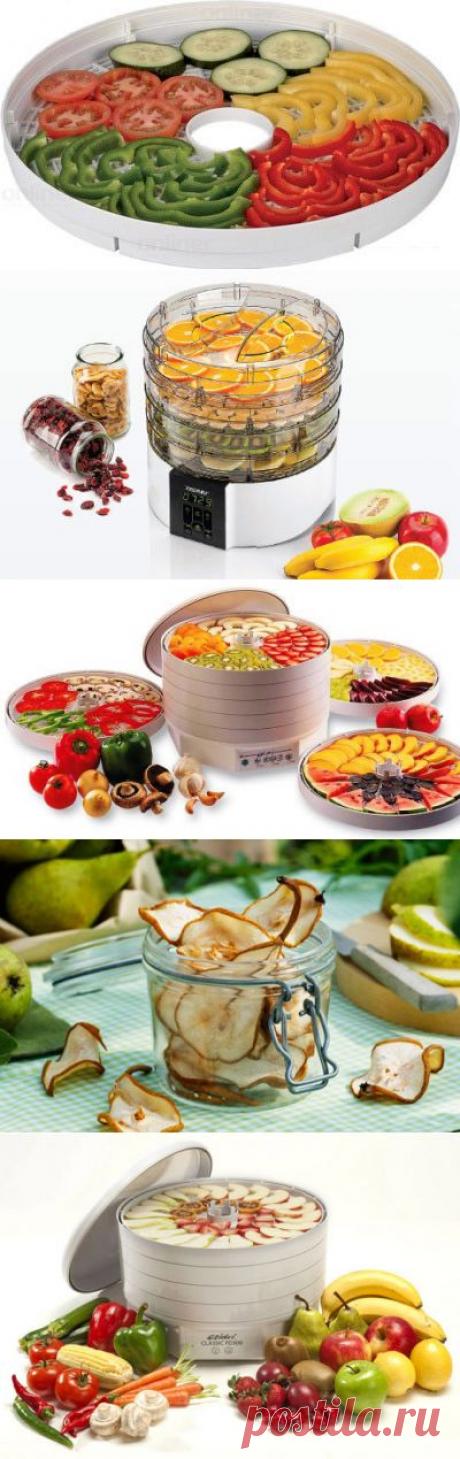 Зачем нужна электросушилка для фруктов, овощей и грибов, и как ее выбрать