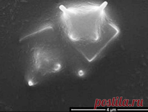 Космические пришельцы в стратосфере Земли - живые организмы | Непознанный мир