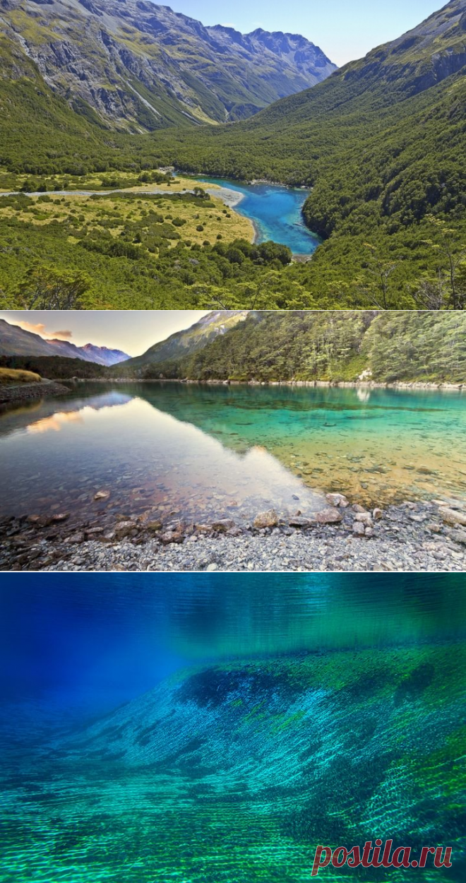 Угадайте, где самая прозрачная вода в мире? Голубое озеро, в Новой Зеландии, имеет видимость 80 метров! | Мир позитивных новостей | Позитив, цитаты, афоризмы, остроумие, юмор, природа, отдых, путешествия, наука