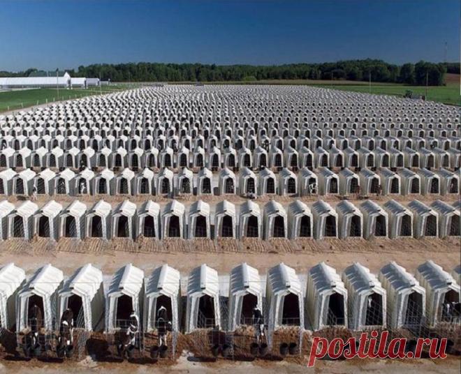 Мало кто знает, ЧТО скрывается в этих коробках. От правды слёзы наворачиваются на глаза...