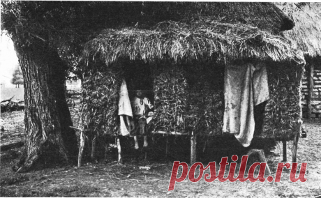 Удивившие меня старинные фотографии крестьянской жизни | sevprostor | Яндекс Дзен