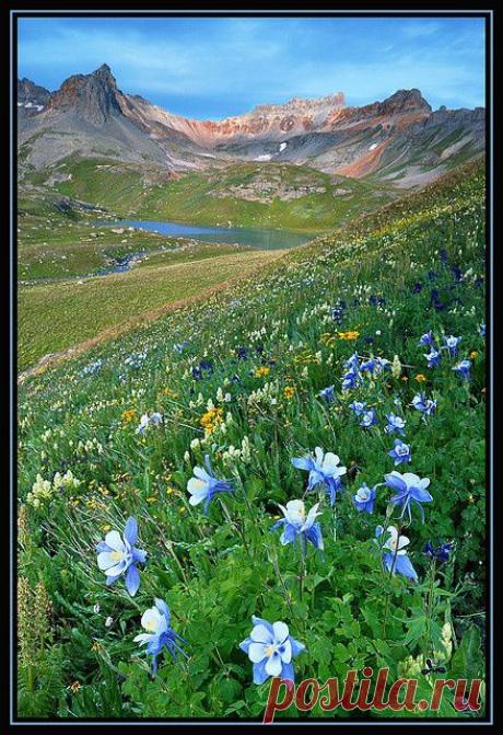 ✯ San Juan Mountains - Columbine, Colorado, flickr от Rick Goldwasser Photogra | Pinterest: инструмент для поиска и хранения интересных идей