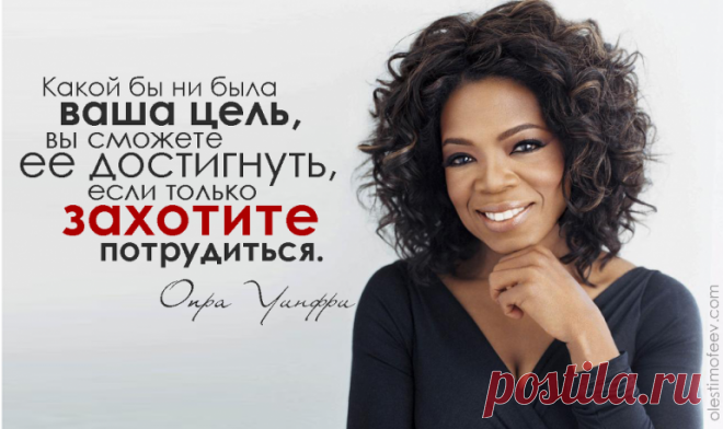 100kursov.com | Екатерина Митько (Орловская)