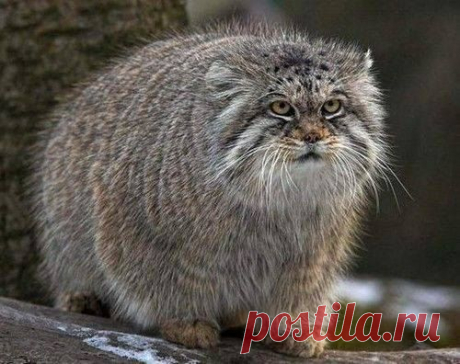 Самое интересное