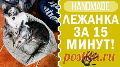 DIY Лежанка для собаки своими руками | Хендмейд | Догмама