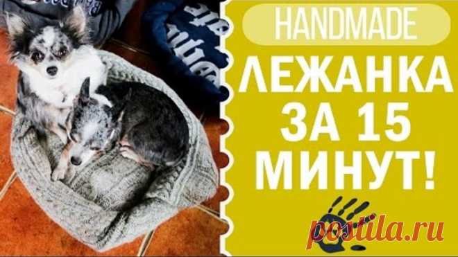 DIY Лежанка для собаки своими руками | Хендмейд | Догмама