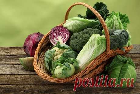 Капустная диета: 5 вкусных рецептов для похудения - Сайт для женщин Понедельник — отличный повод сесть на диету, не откладывая на завтра. Предлагаем тебе 5 рецептов из капусты на каждый день, которые помогут тебе скинуть лишние килограммы Спасибо за рецепты, с которыми можно наслаждаться пищей и в то же время худеть, блогеру Ольге Ягнетинской. Ольга — гуру правильного питания. Все ее блюда содержат минимум калорий и …