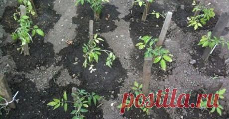 (8) Facebook