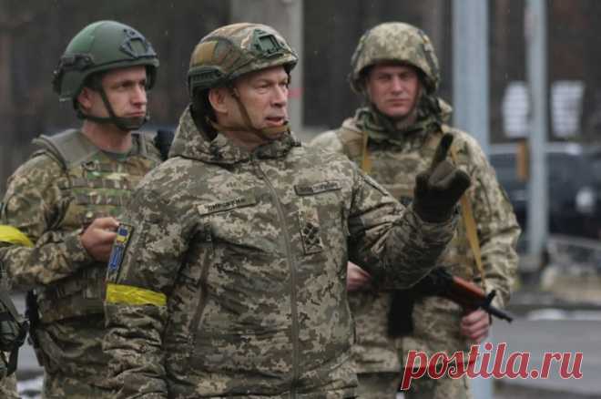 Главком ВСУ начал проверку после попытки вручения повестки журналисту. Журналист Евгений Шульгат опубликовал материал об элитной собственности одного из сотрудников спецслужбы.