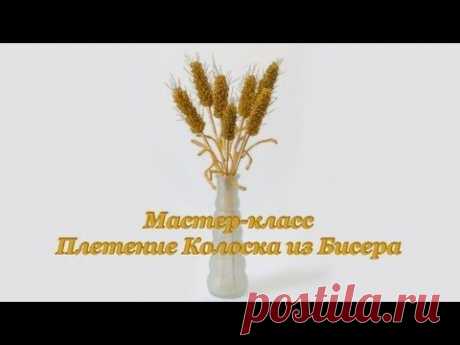 Мастер-класс Плетение Колоска из Бисера | Вышивка бисером и не только