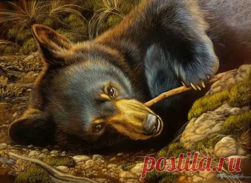 Шоу «Хорошее плохое» – Художественная галерея Ловеттс, Талса | Картины дикой природы и природы Ребекки Лэтэм