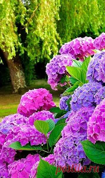 КАКОЙ СЕГОДНЯ ПРАЗДНИК? 28 Сентября 2018 г. – Пятница • День генерального директора • Праздник саке • День рассматривания мелочей • День работника атомной промышленности13 лет • Всемирный день борьбы против бешенства (World Rabies Day) • День памяти святого великомученика Никиты1646 лет • День рождения ломбарда400 лет • Международный день правовых знаний (International Right to Know Day) • День деловой книги в России3 года • Международный день безопасных абортов (International Safe Abortion…