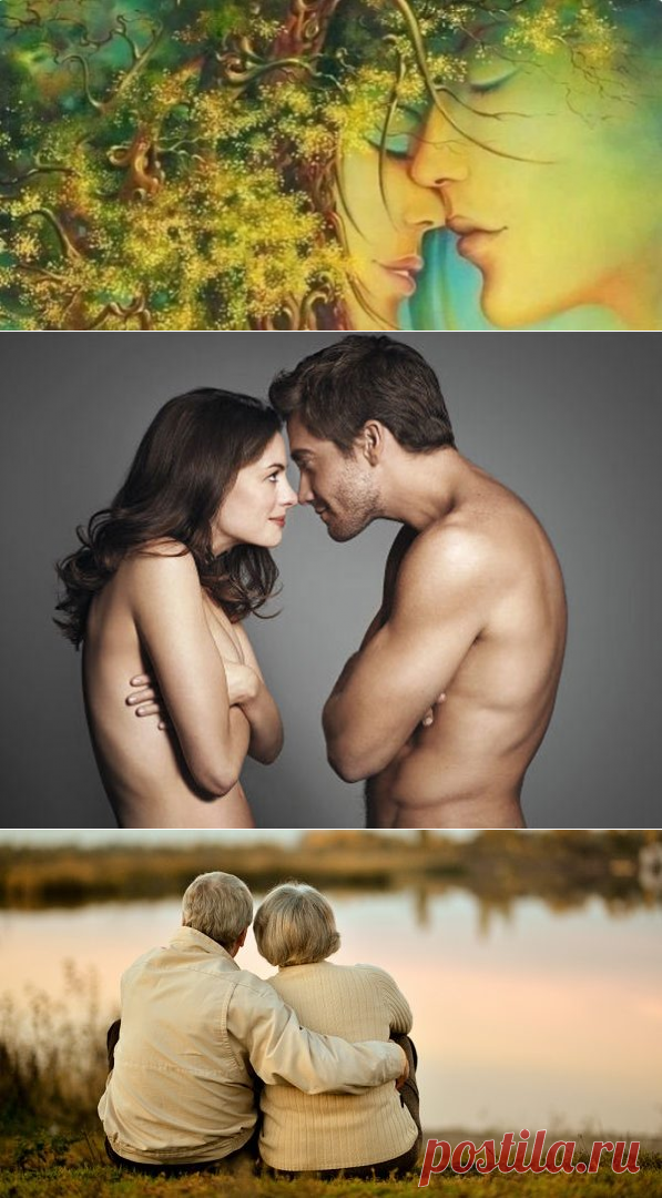 Мужчина и женщина: стадии любви в отношениях
В современном мире становится все больше одиноких людей. Семейные ценности забываются, а законный брак постепенно выходит из моды. Современная молодежь более независимая и свободолюбивая, чем наши бабушки и дедушки. 

С одной стороны, это хорошо, но с другой, приводит к нежеланию идти на компромисс и работать над собой. Люди очень легко разрывают даже те любовные союзы, которые потенциально могли бы принести гармонию и счастье.