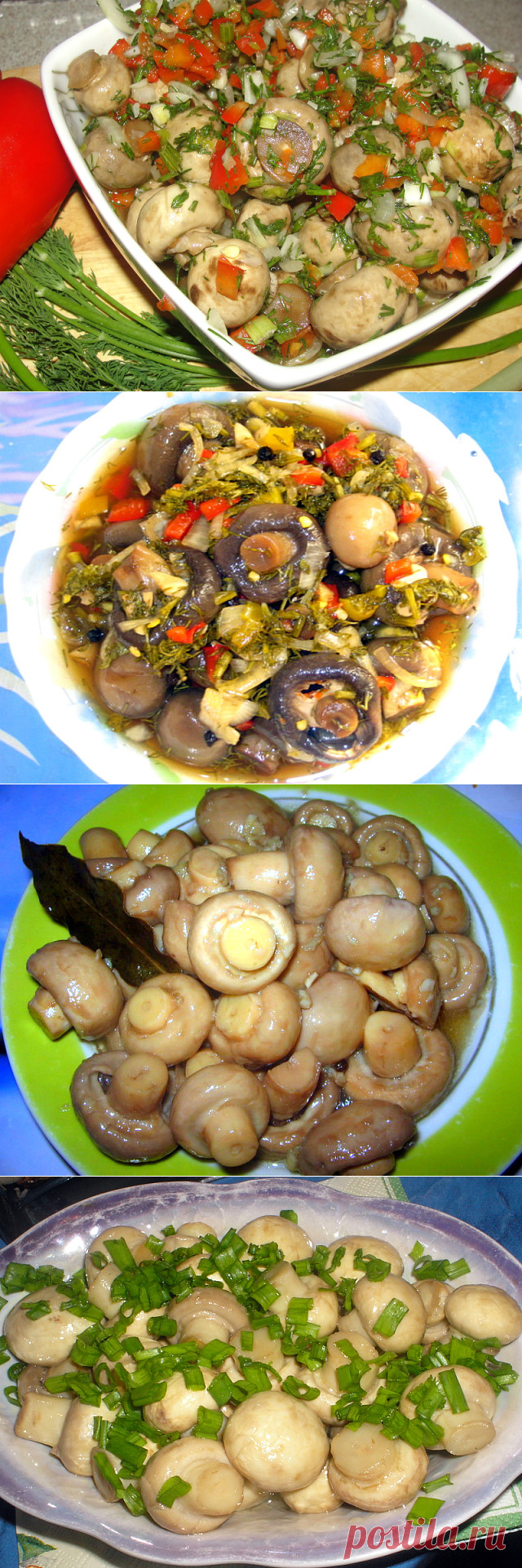 (83) Одноклассники