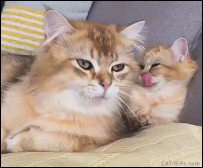 Like father like son...