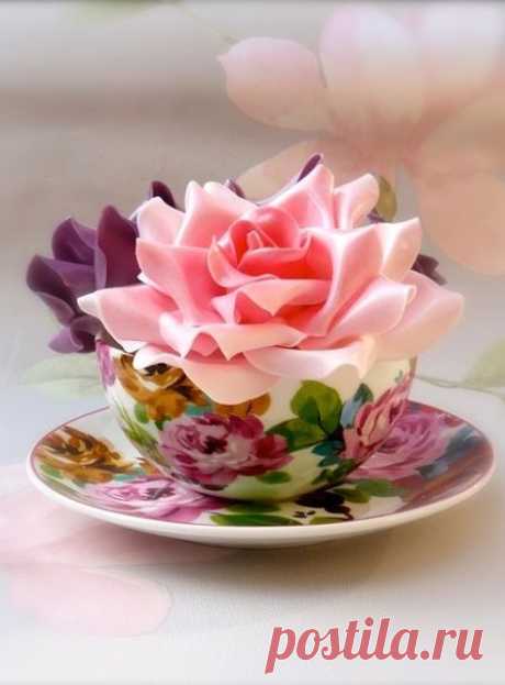 Sharon S. приколол(а) это к доске Rose *Loveliness