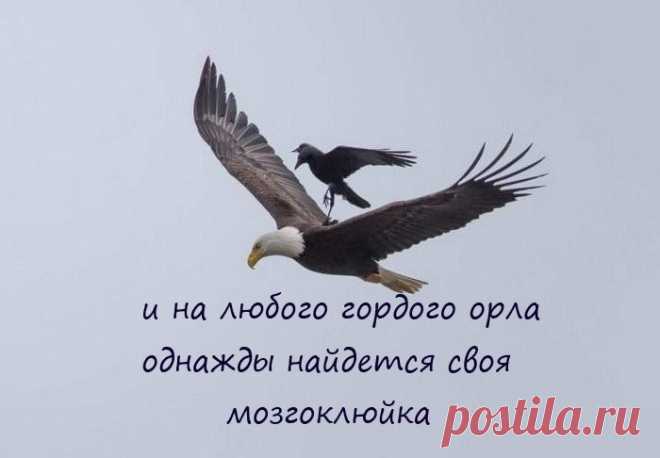 Останавливает ГАИшник на въезде в Питер автомобиль. Гаишник: — С Вас 100 рублей — За что ? я не нарушал. — Читай, что здесь написано — Д П С — Правильно, 
