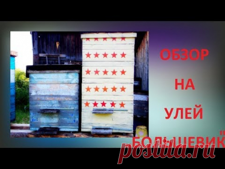 Улей "БОЛШЕВИК", Обзор!!! Все Секреты Пчеловодства!!!
