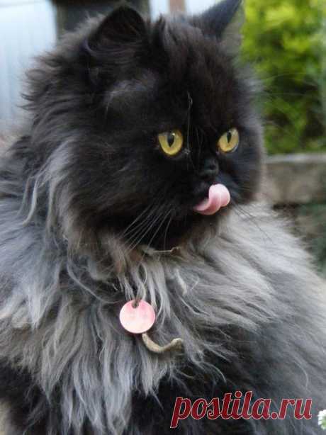 It's The Little Things That Count