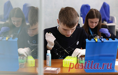 Число бюджетных мест в новосибирских колледжах планируется увеличивать на 500-600 ежегодно. Число бюджетных мест в учреждениях СПО, подведомственных Минобразования, составляет 13,5 тыс. в 2025 году