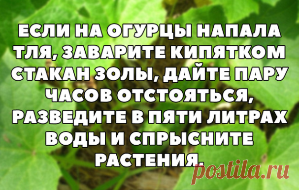 БЕРЁМ НА ЗАМЕТКУ!