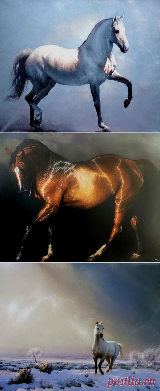 Художник Alain Senez..