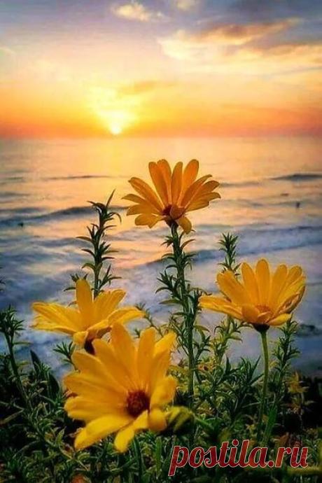 ღ✿ღ В жизни так много поводов сказать:
- Слава Богу!... ღ✿ღ