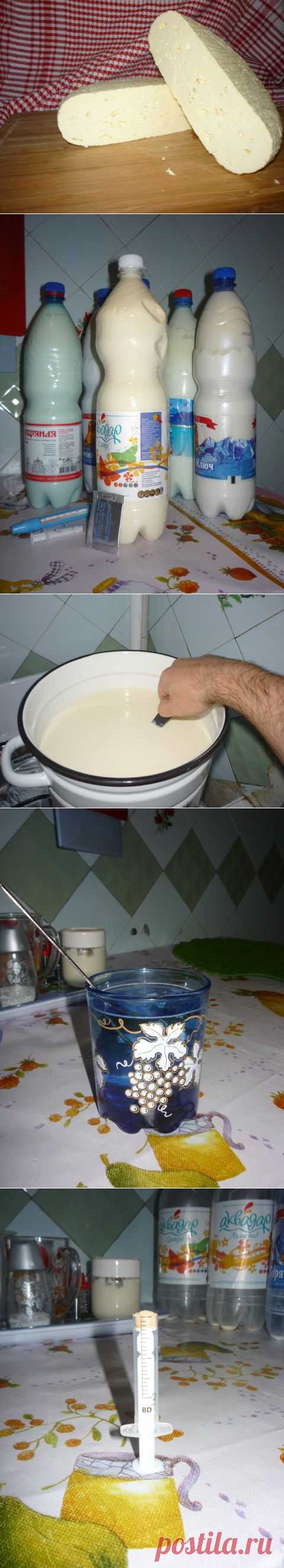 Сыр всему голова!