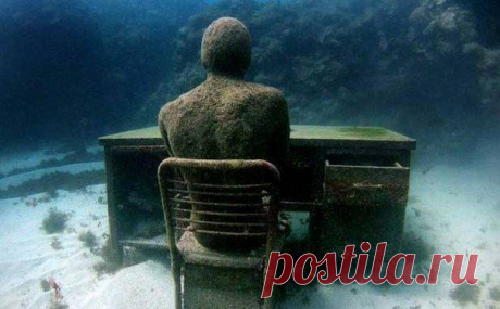 Профессия изначально должна быть актом любви / Основы бизнеса