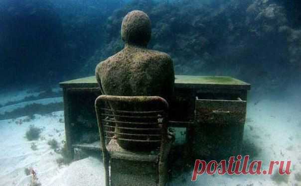 Профессия изначально должна быть актом любви / Основы бизнеса