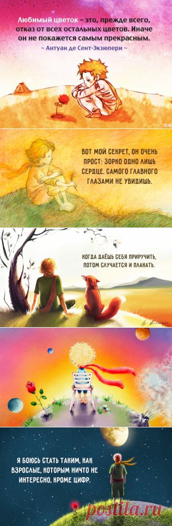 Мудрые и глубокие цитаты из «Маленького принца» | Полезные советы