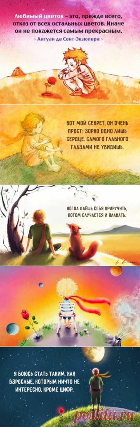 Мудрые и глубокие цитаты из «Маленького принца» | Полезные советы