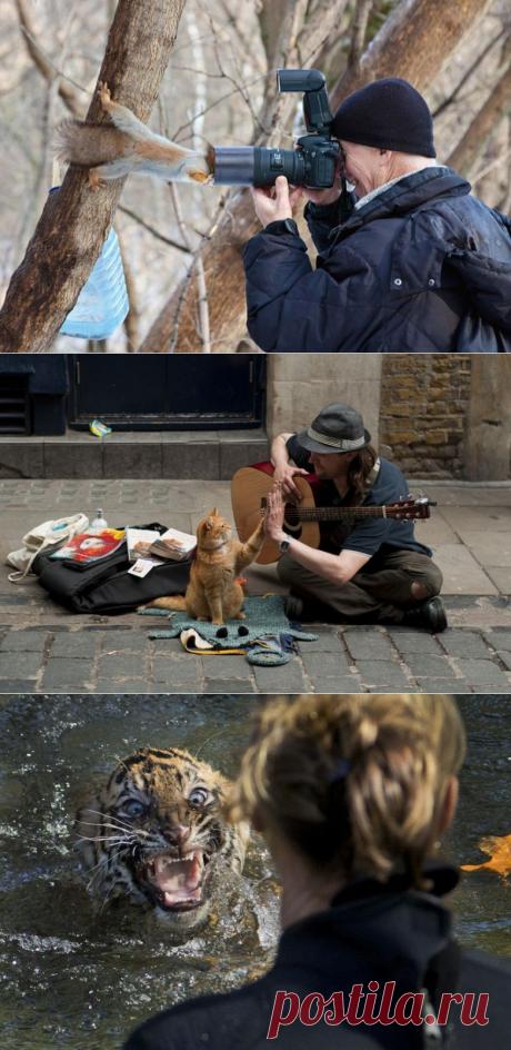 Коллекция эмоциональных снимков. Суперподборка! / Писец - приколы интернета