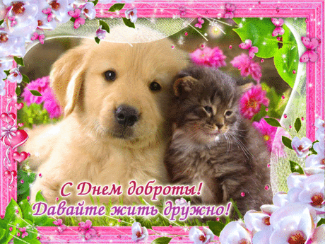 День доброты!