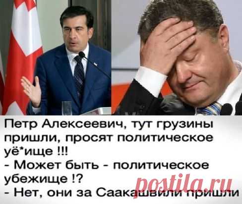 МИШКА - "ПОДКИДЫШ"