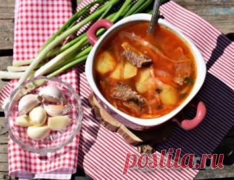 Как приготовить вкусный борщ из говядины Вся моя семья очень любит борщ, поэтому он частый гость на нашем столе. Борщ из говядины получается наваристым, очень вкусным и сытным. Готовится он не быстро, но вы сможете значительно сократить время приготовления, если сварите говяжий бульон накануне. В готовый борщ добавляю нарезанную на кусочки