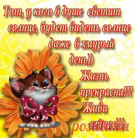 живи, пока живётся!