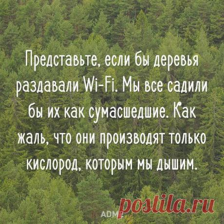 (2) Facebook