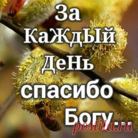 Сияли Счастьем Сердце и Глаза... 
~ У неё была собственная философия счастья. Самая простая и истинная.. 
Для неё счастьем было отсутствие несчастья.. 
/Януш Вишневский/

...О СЧАСТЬЕ... спорить невозможно, оно у каждого СВОЁ.....
Знаете, какое обстоятельство на земле дороже всяких благ? Это, чтобы были в жизни рядышком те, кому нужны вы просто так...
Спасибо БОГУ за все!!! Аминь....