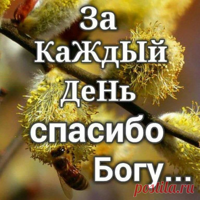 Сияли Счастьем Сердце и Глаза... 
~ У неё была собственная философия счастья. Самая простая и истинная.. 
Для неё счастьем было отсутствие несчастья.. 
/Януш Вишневский/

...О СЧАСТЬЕ... спорить невозможно, оно у каждого СВОЁ.....
Знаете, какое обстоятельство на земле дороже всяких благ? Это, чтобы были в жизни рядышком те, кому нужны вы просто так...
Спасибо БОГУ за все!!! Аминь....