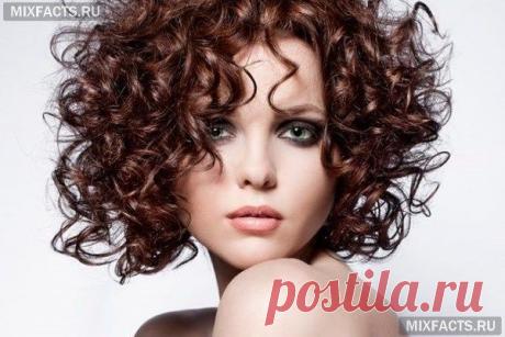 волосы после биозавивки