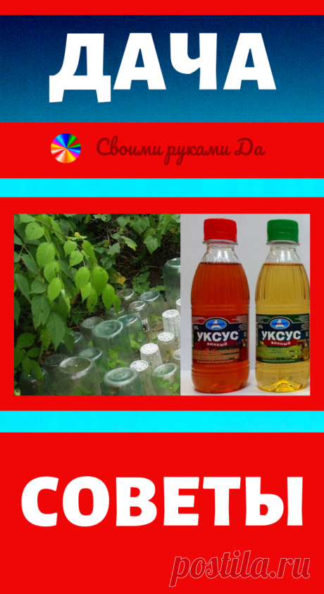 Моя дача, советы и не только! Проверено годами и своими руками